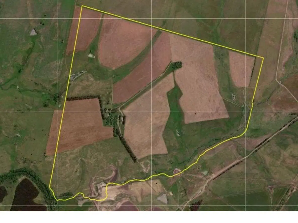 Vendo Campo mixto en Cololó, Soriano 325 ha con infraestructura completa 3