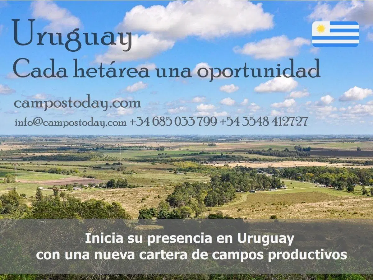 Vendo Campo mixto en Cololó, Soriano 325 ha con infraestructura completa 1