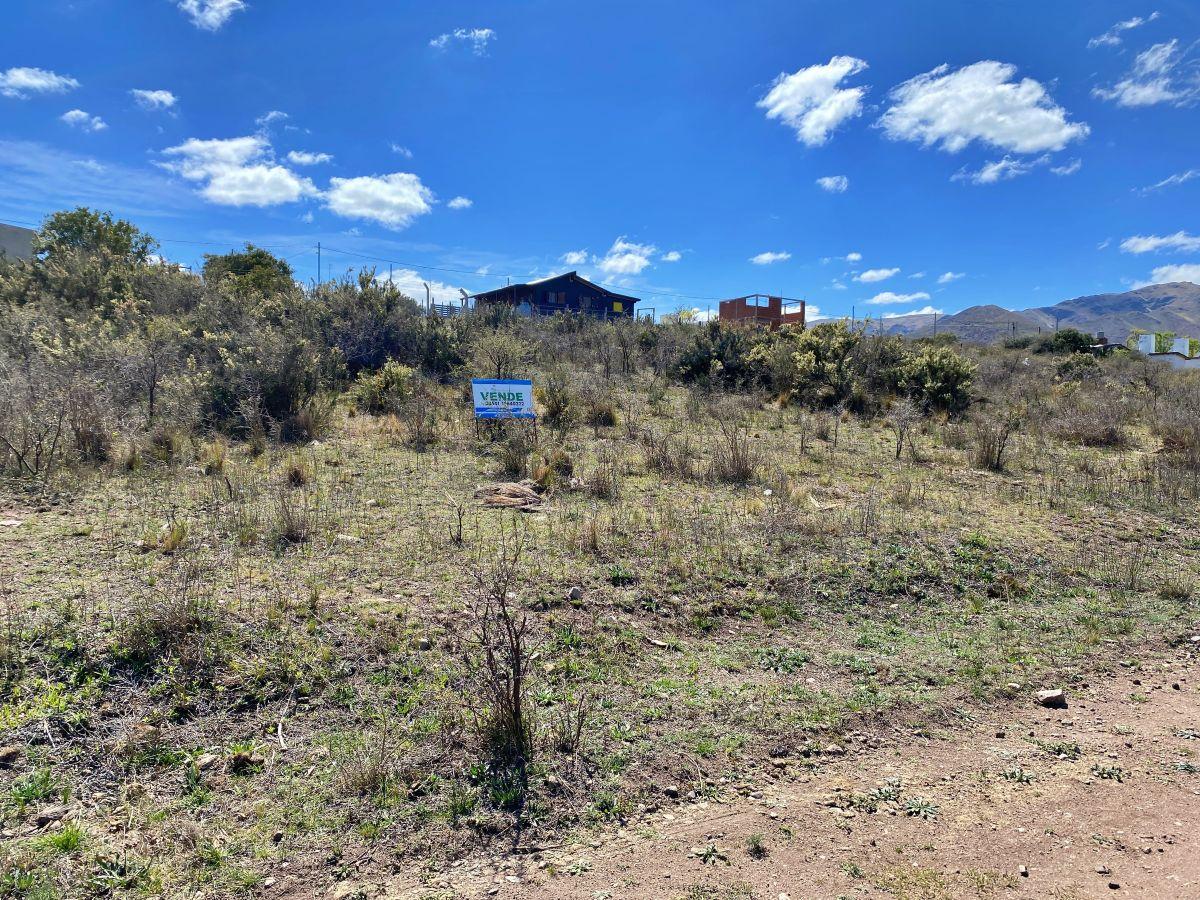 Foto de Vendo Lotes 17, 18, 19 y 20 Mz T – En Los Cocos, Córdoba. Loteo El Vado., imagen 4