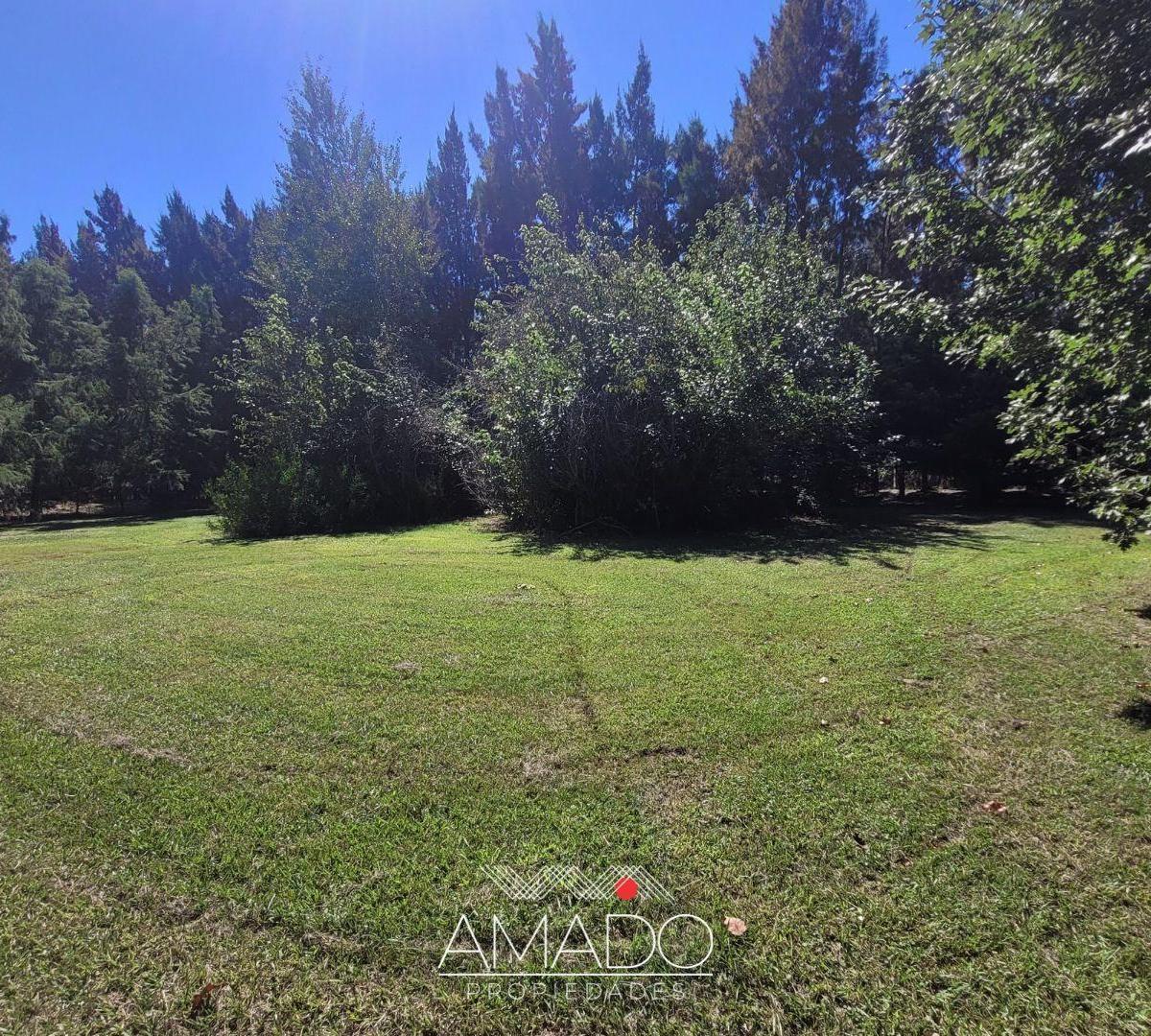 Lote en Altos de Brandsen 3