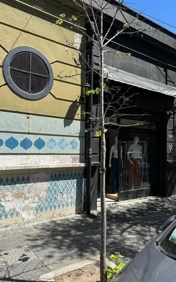 LOCAL EN ALQUILER BELGRANO 3