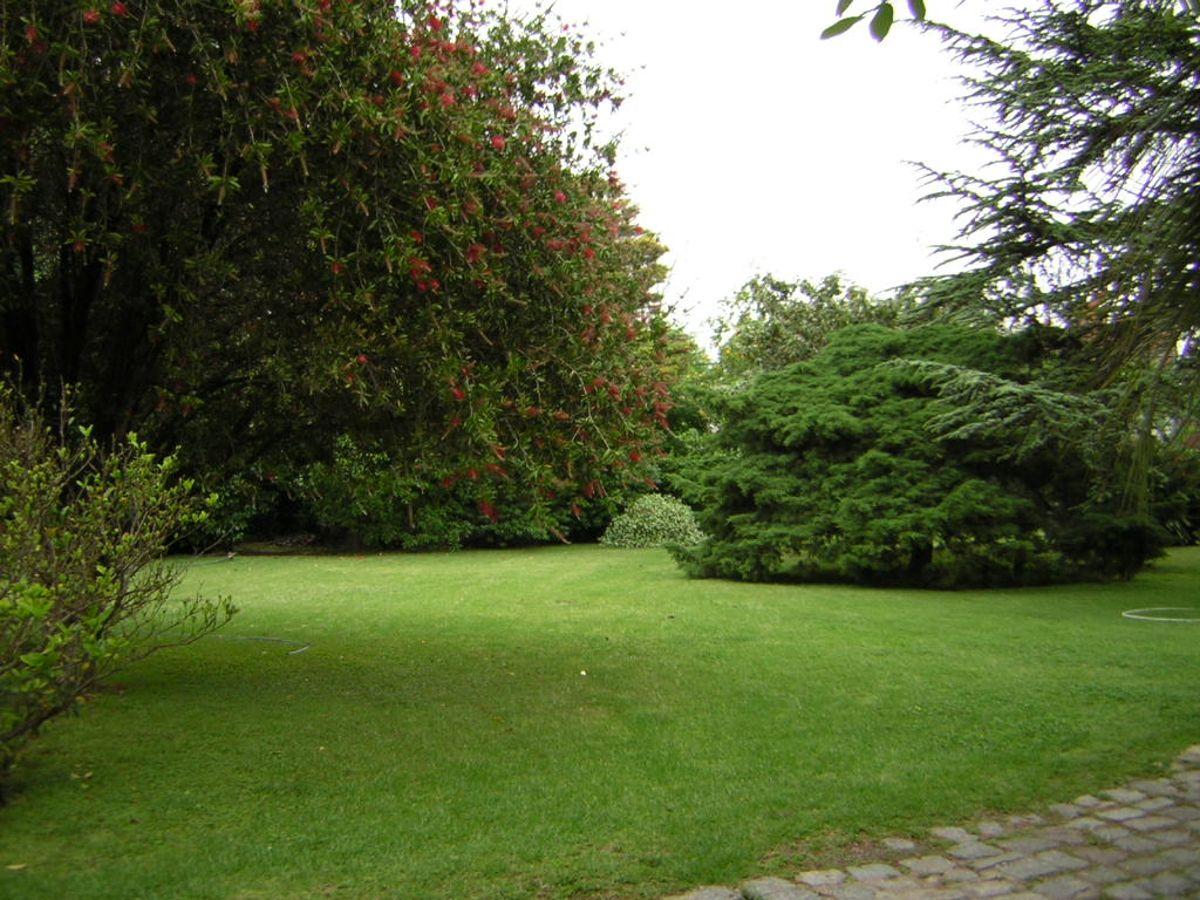 Foto de LOTE VENTA LOMAS DE SAN ISIDRO, imagen 1