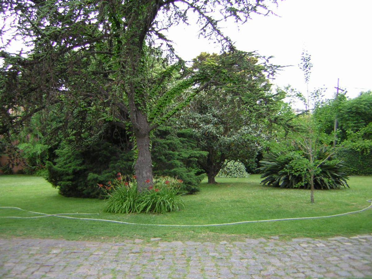 Foto de LOTE VENTA LOMAS DE SAN ISIDRO, imagen 2