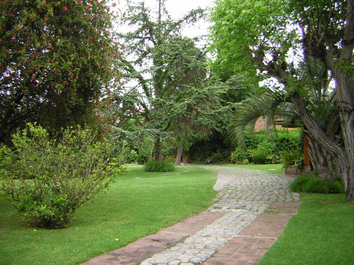 Foto de LOTE VENTA LOMAS DE SAN ISIDRO, imagen 3