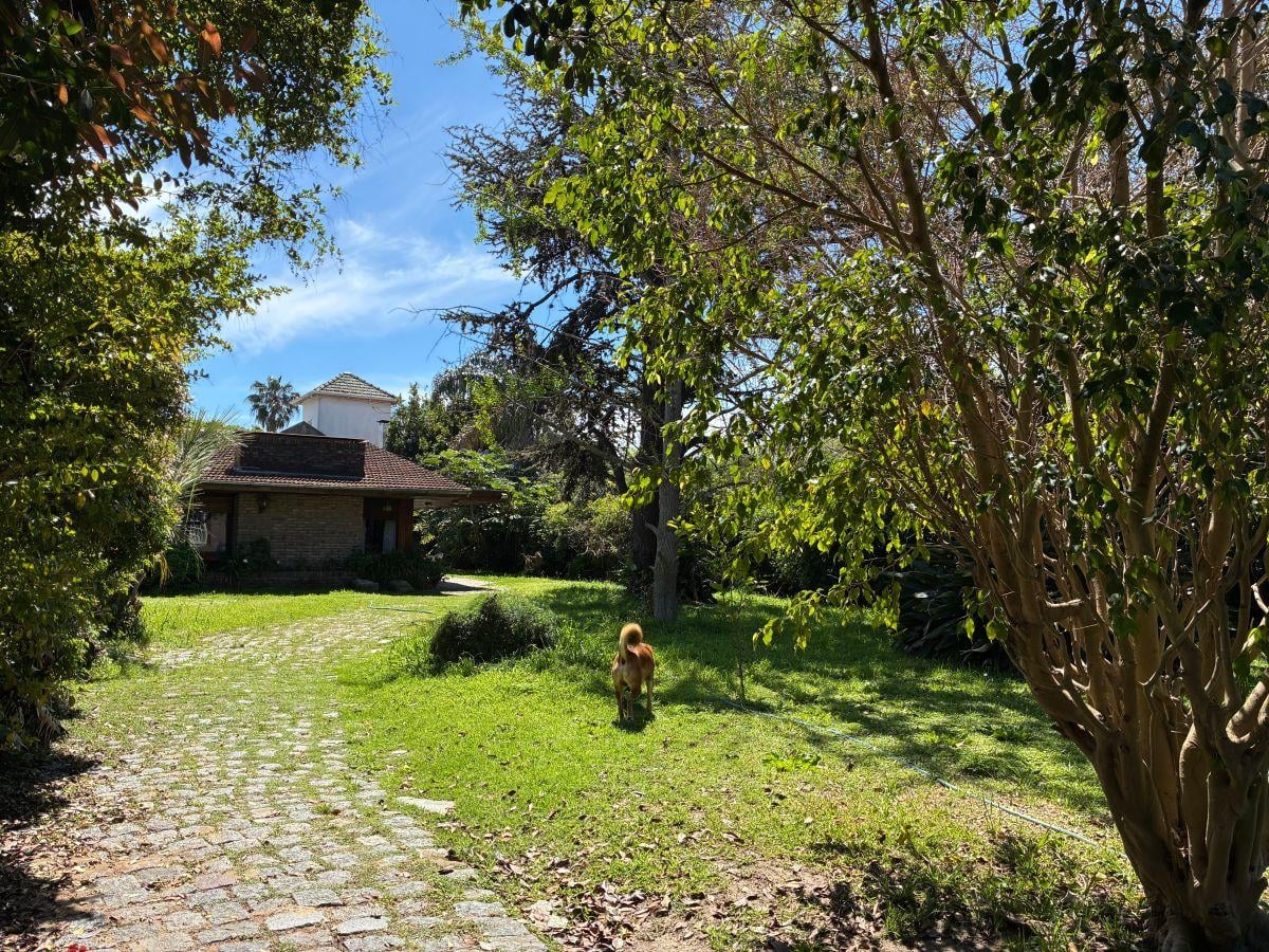 Foto de LOTE VENTA LOMAS DE SAN ISIDRO, imagen 4