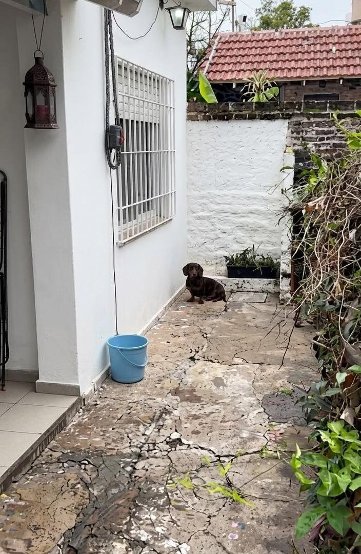 Foto de ALQUILER PH AL MEDIO EN VILLA ADELINA., imagen 1