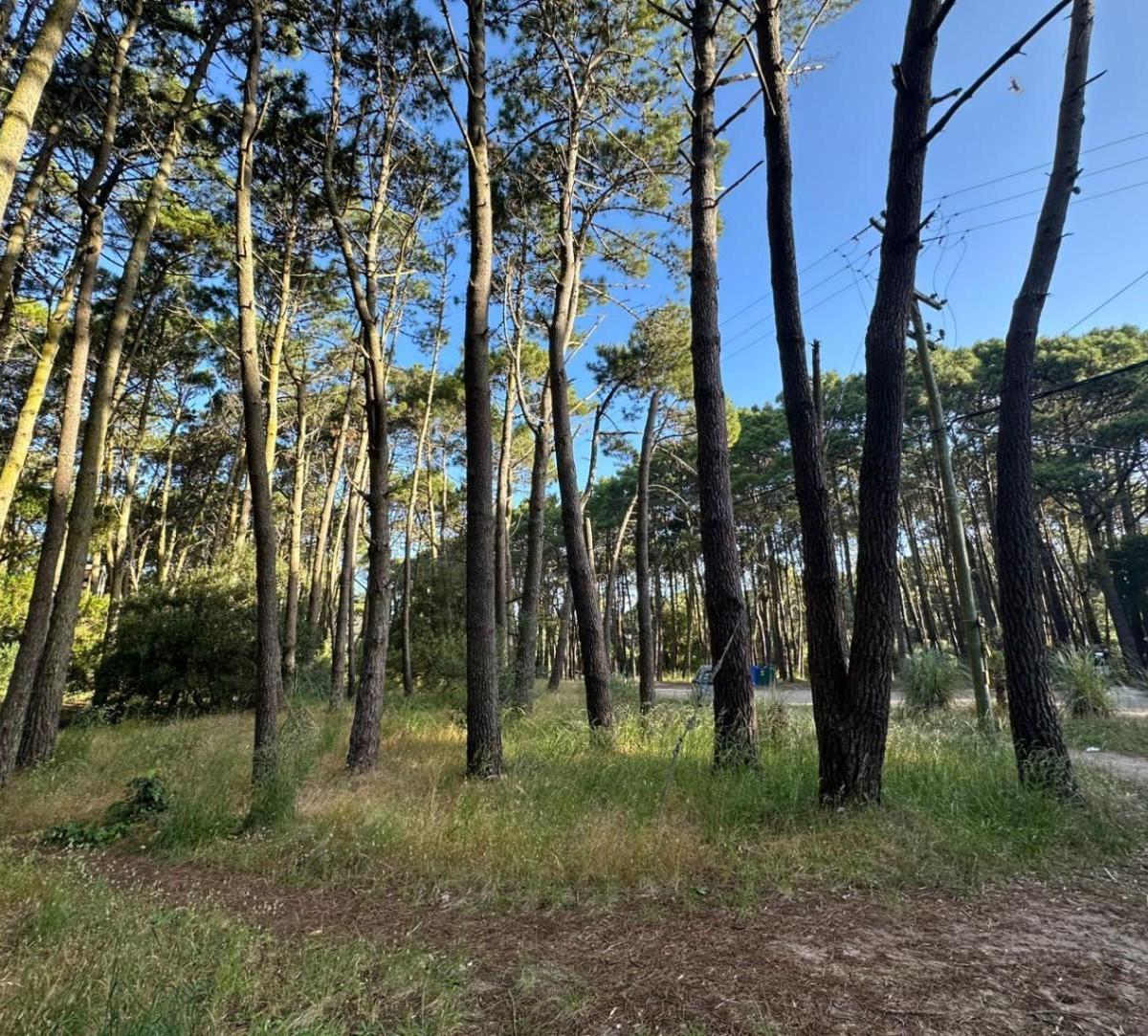 Fracción de Tierra Mar de Las Pampas Calle Virazón 1.350 m² 2