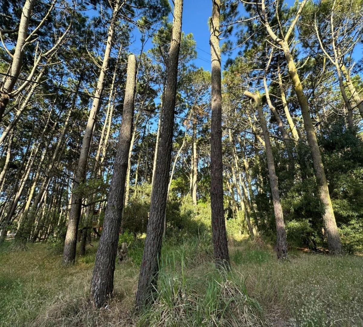 Fracción de Tierra Mar de Las Pampas Calle Virazón 1.350 m² 3