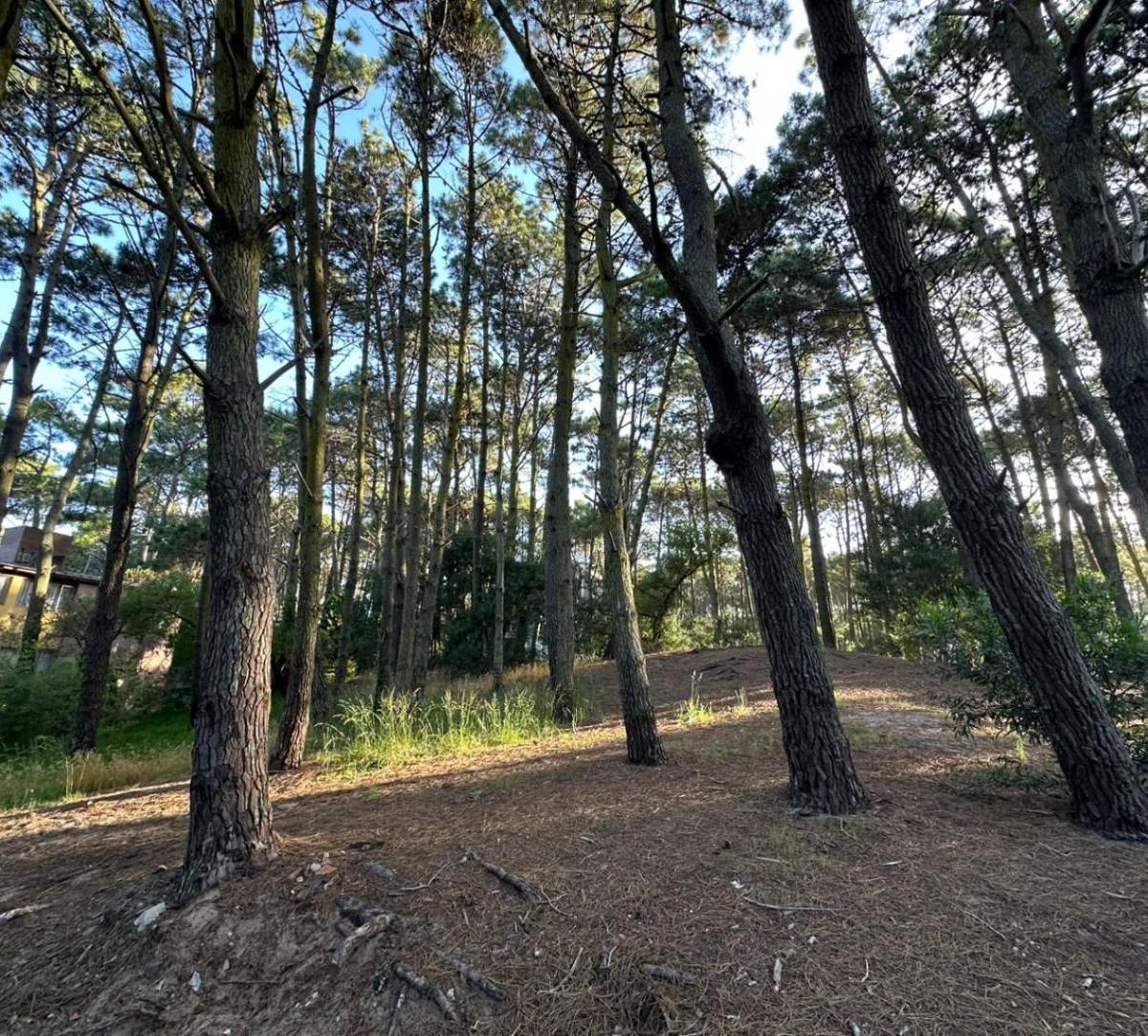 Fracción de Tierra Mar de Las Pampas Calle Virazón 1.350 m² 5