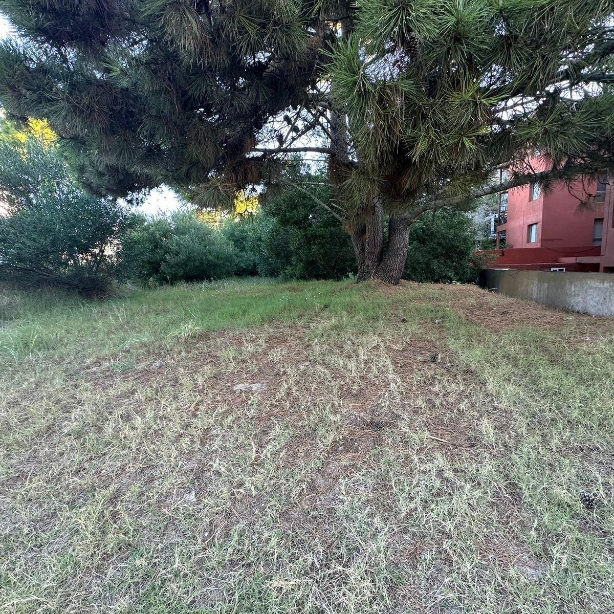 Lote Multifamiliar de 907 m² Ubicado en Las Gaviotas 3