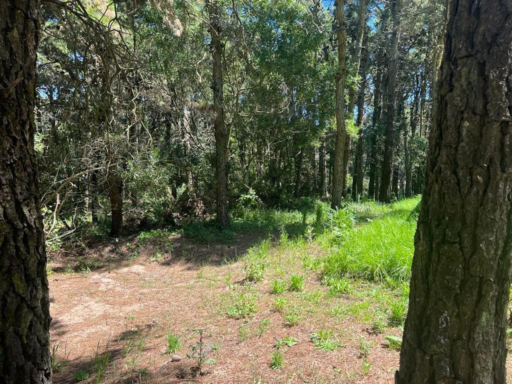 Foto de Mar de las Pampas – Lote en venta de 450 m², imagen 4