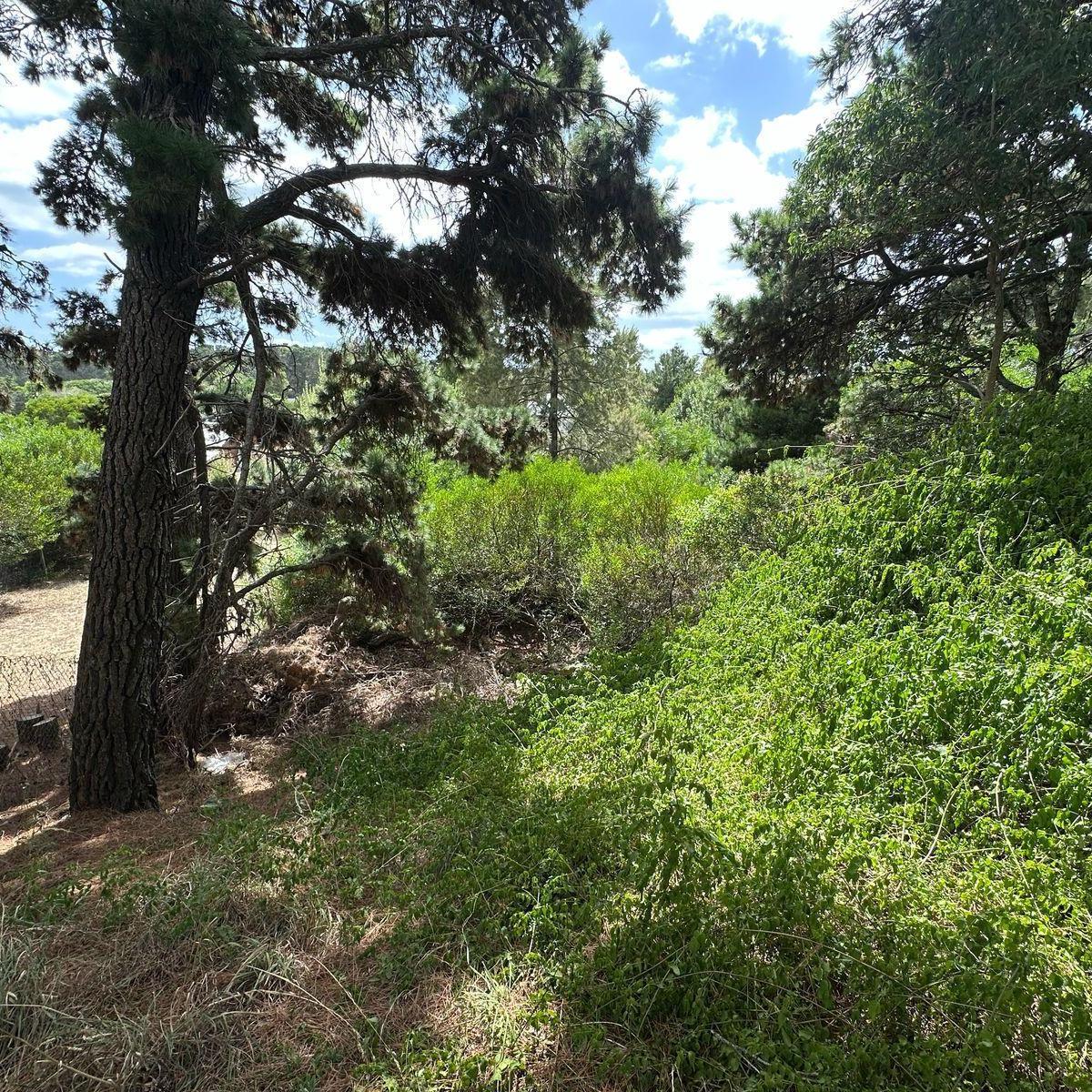 Terreno en  venta Mar Azul