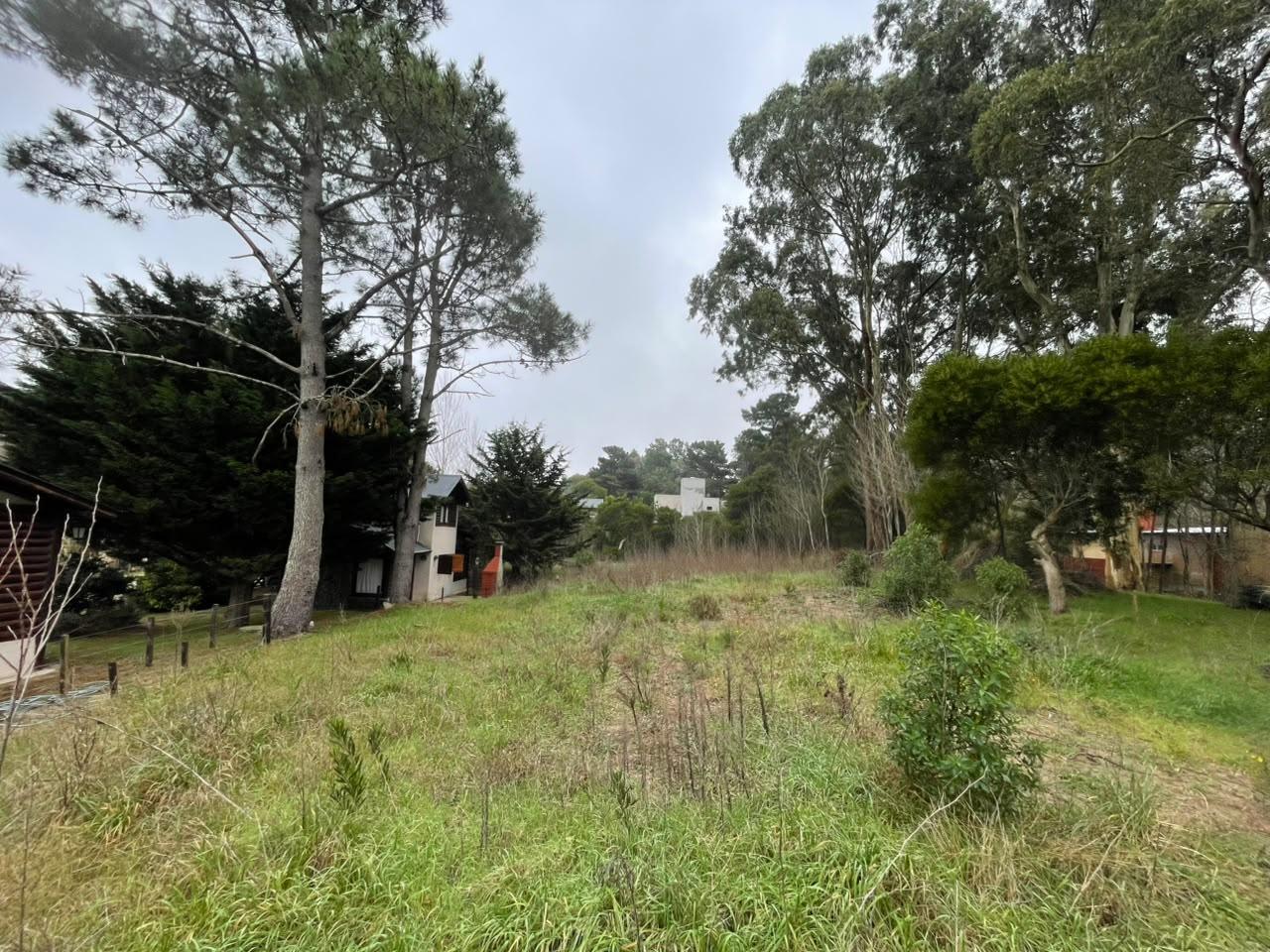 Foto de Terreno en Las Gaviotas, imagen 2