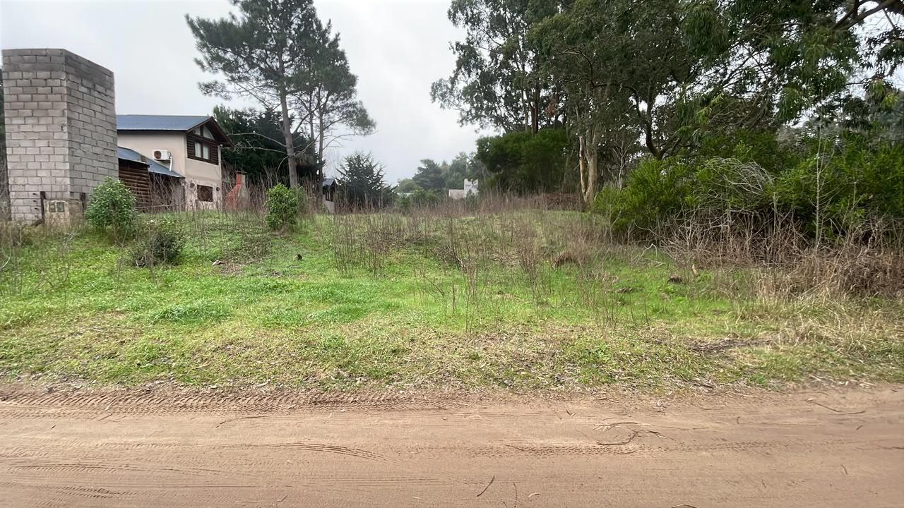 Foto de Terreno en Las Gaviotas, imagen 3