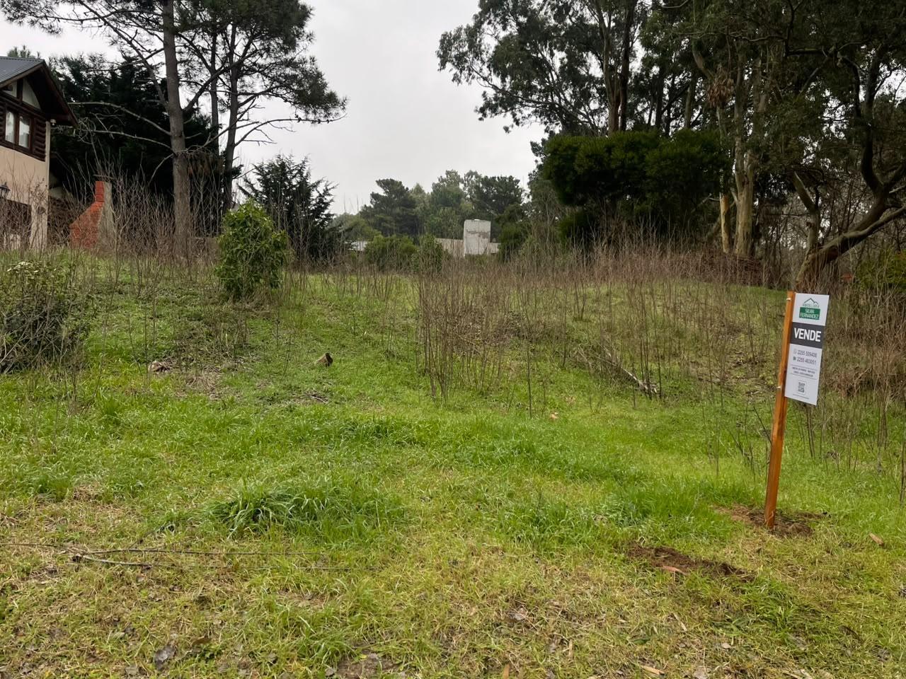 Foto de Terreno en Las Gaviotas, imagen 1