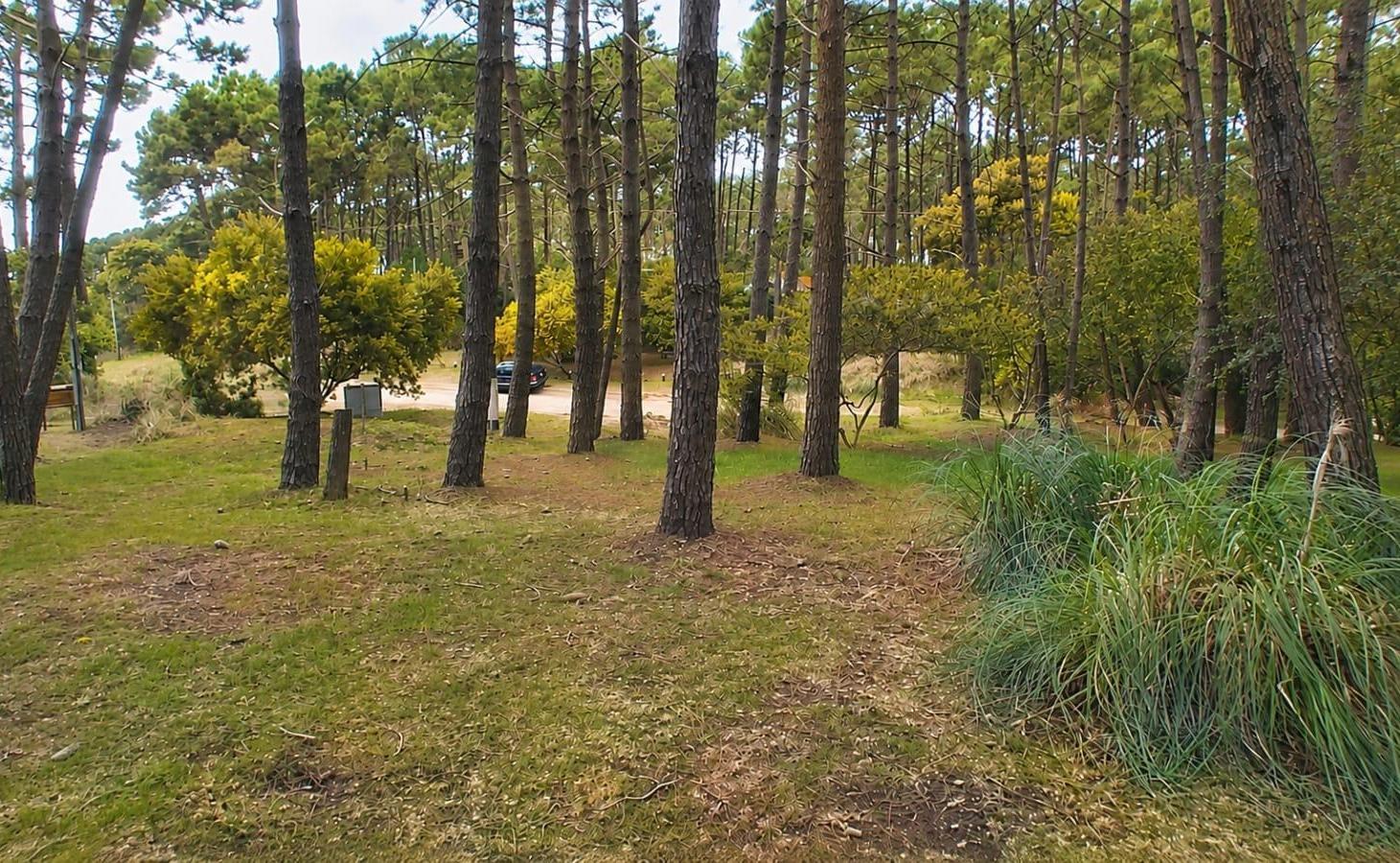 Foto de Terreno en Mar De Las Pampas, imagen 3