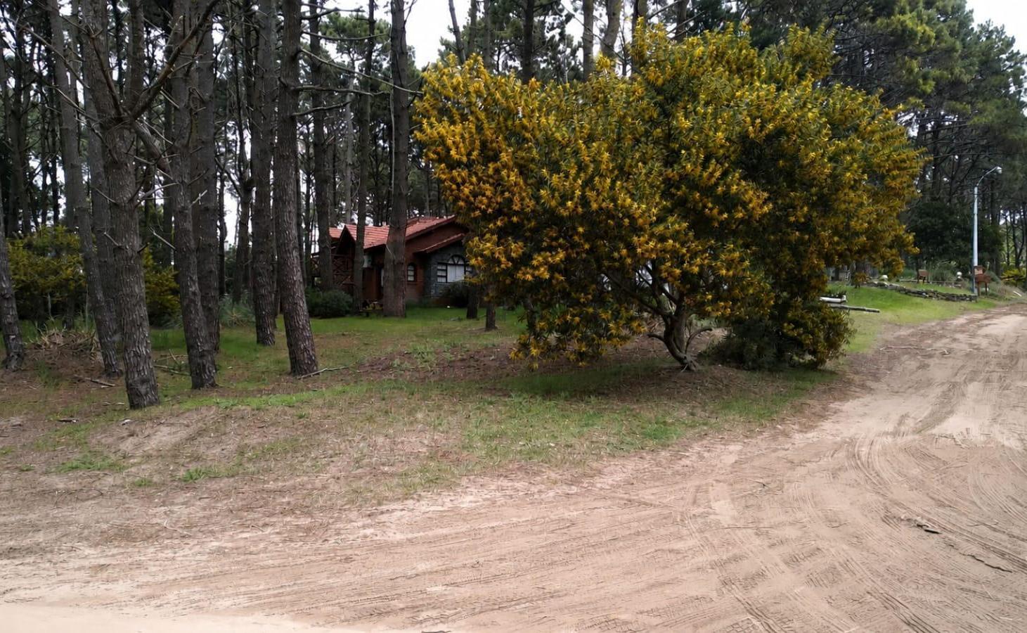 Foto de Terreno en Mar De Las Pampas, imagen 2