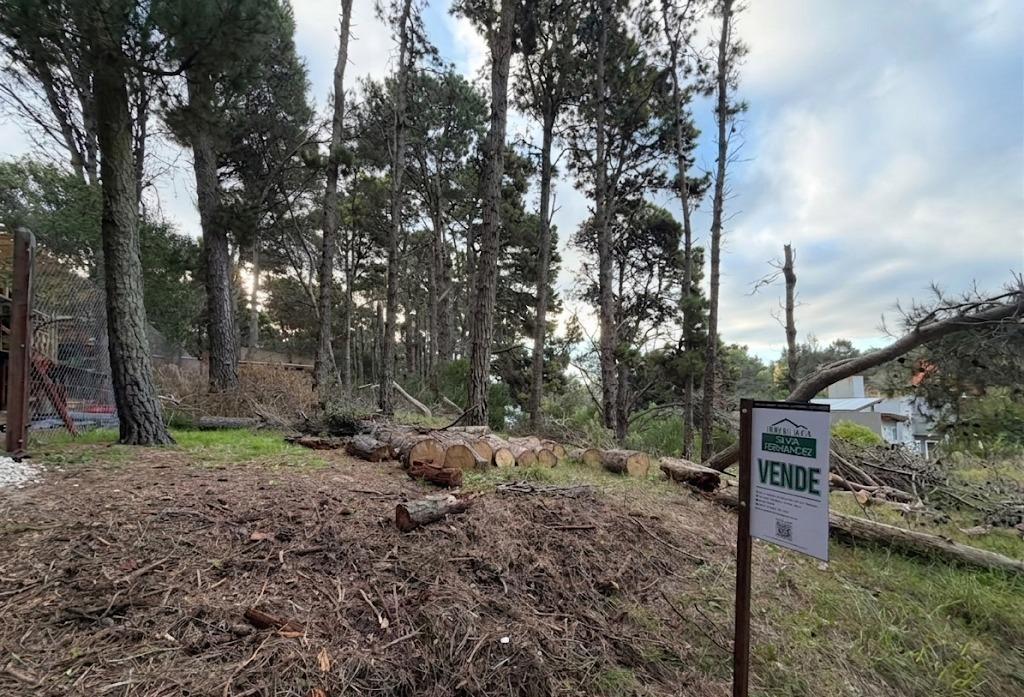 Foto de Terreno en Mar Azul, imagen 4