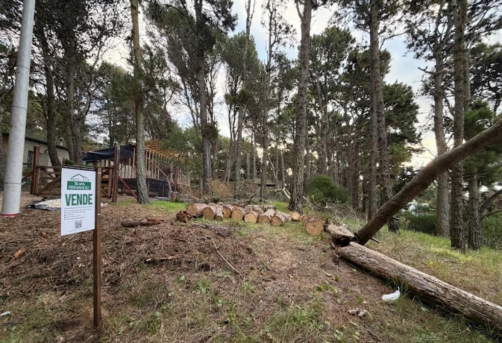 Foto de Terreno en Mar Azul, imagen 2