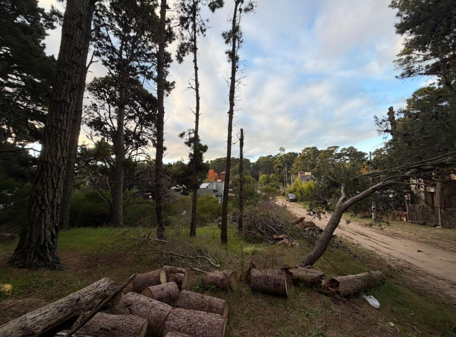 Foto de Terreno en Mar Azul, imagen 1