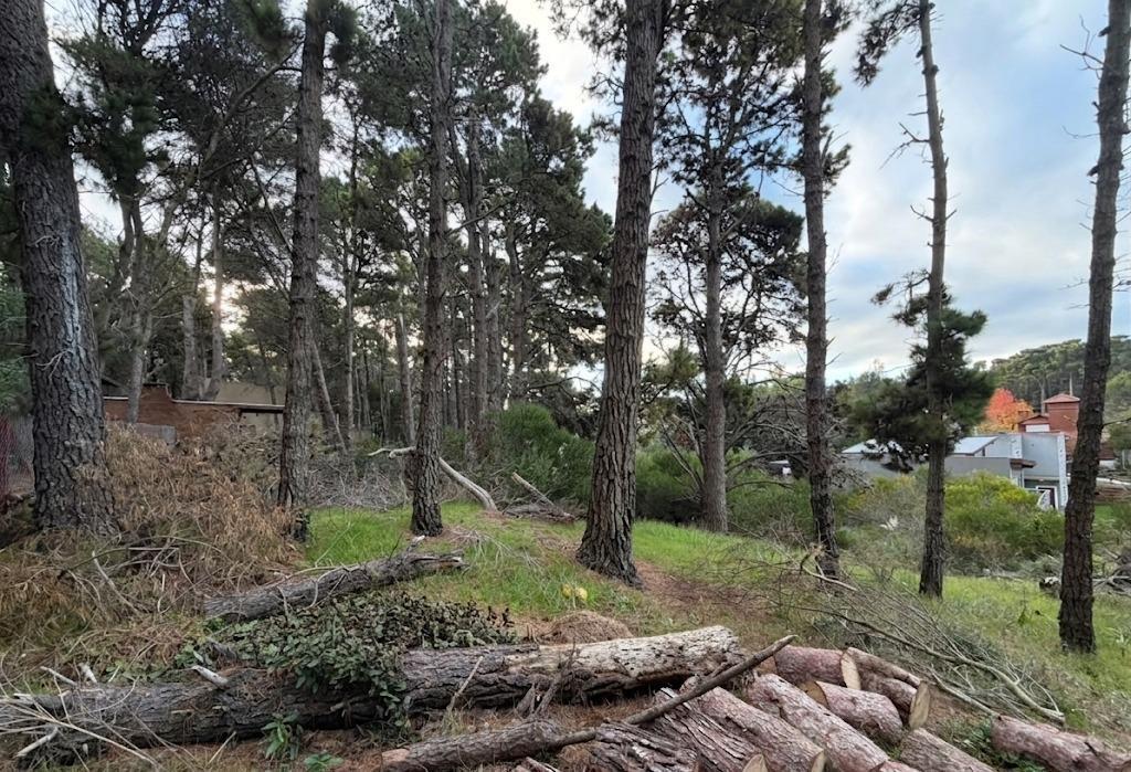 Foto de Terreno en Mar Azul, imagen 5