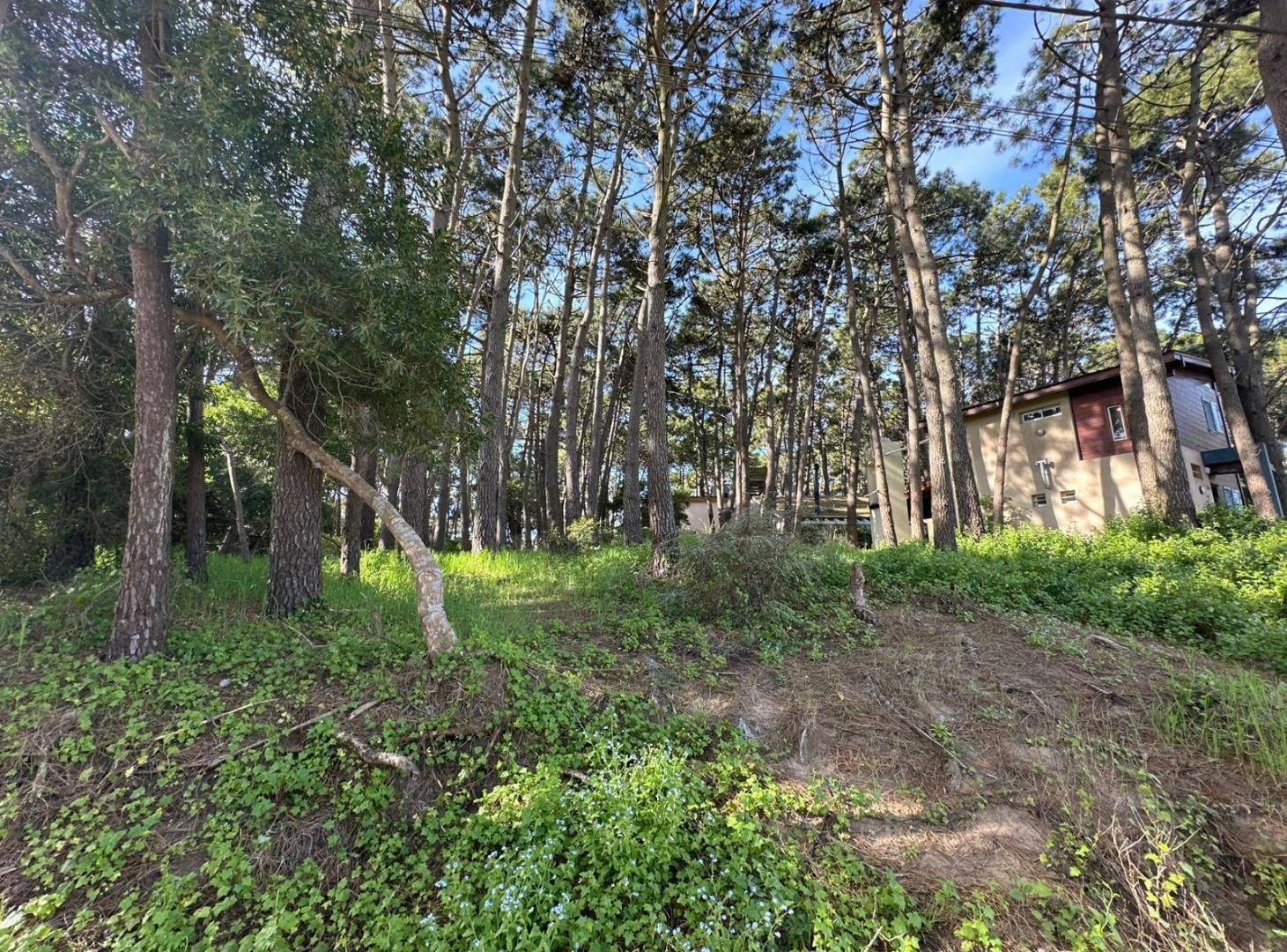Foto de Terreno EXCELENTE ESQUINA VENTA MAR AZUL, imagen 1