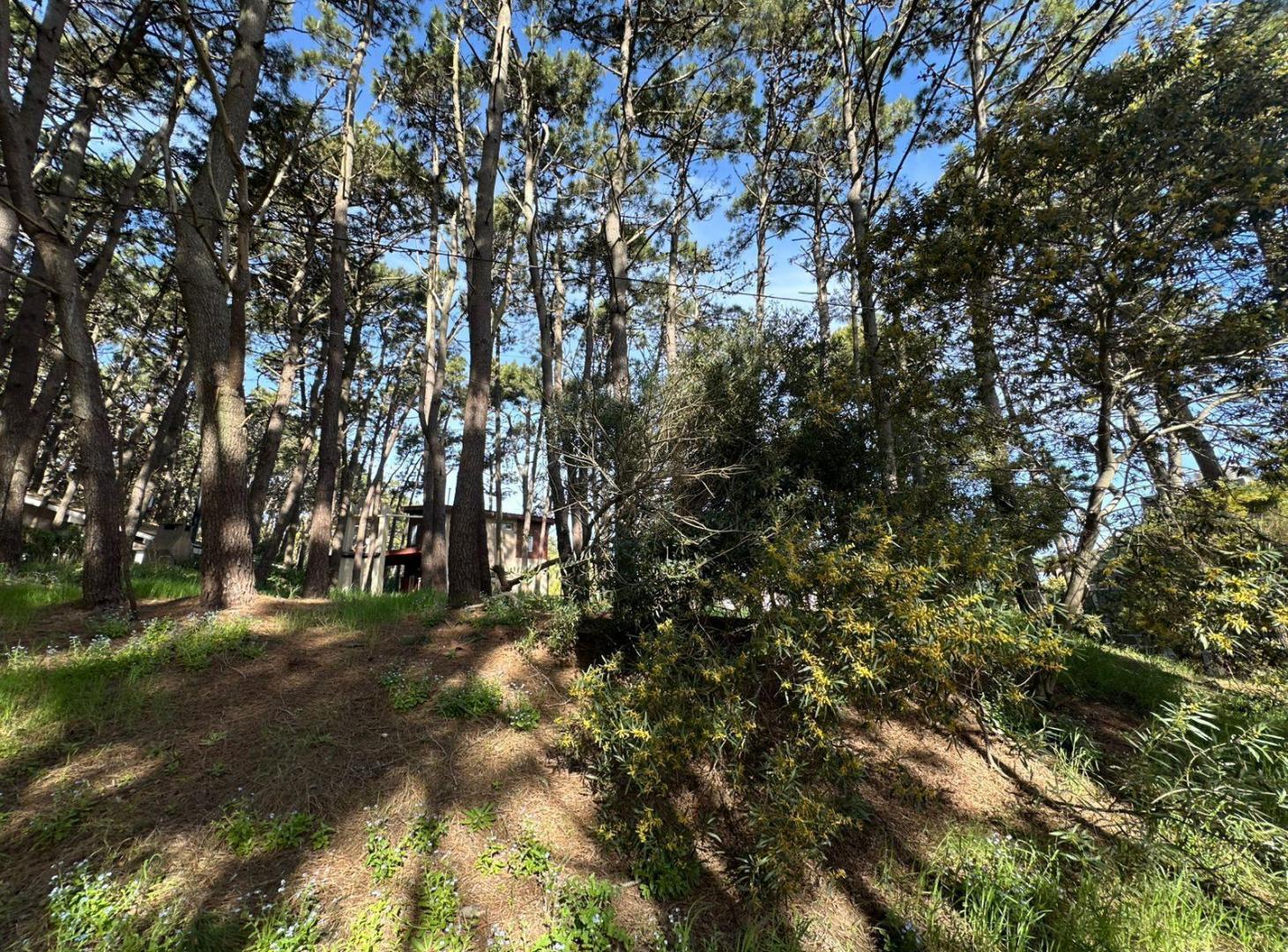 Foto de Terreno EXCELENTE ESQUINA VENTA MAR AZUL, imagen 3