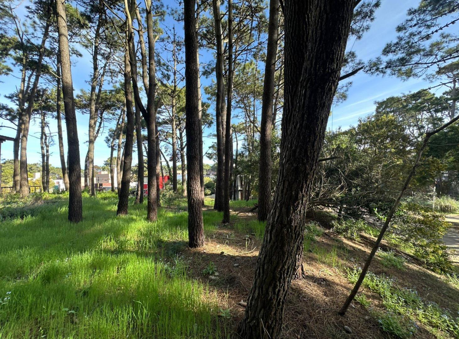 Foto de Terreno EXCELENTE ESQUINA VENTA MAR AZUL, imagen 4