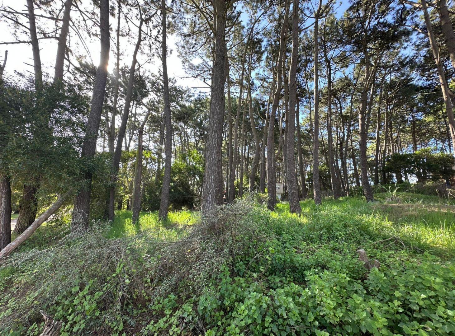 Foto de Terreno EXCELENTE ESQUINA VENTA MAR AZUL, imagen 2