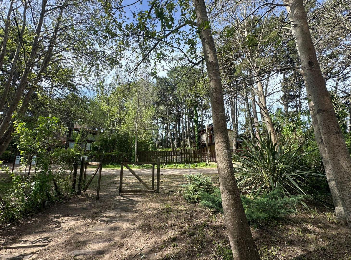 Foto de Casa en Mar Azul, imagen 4