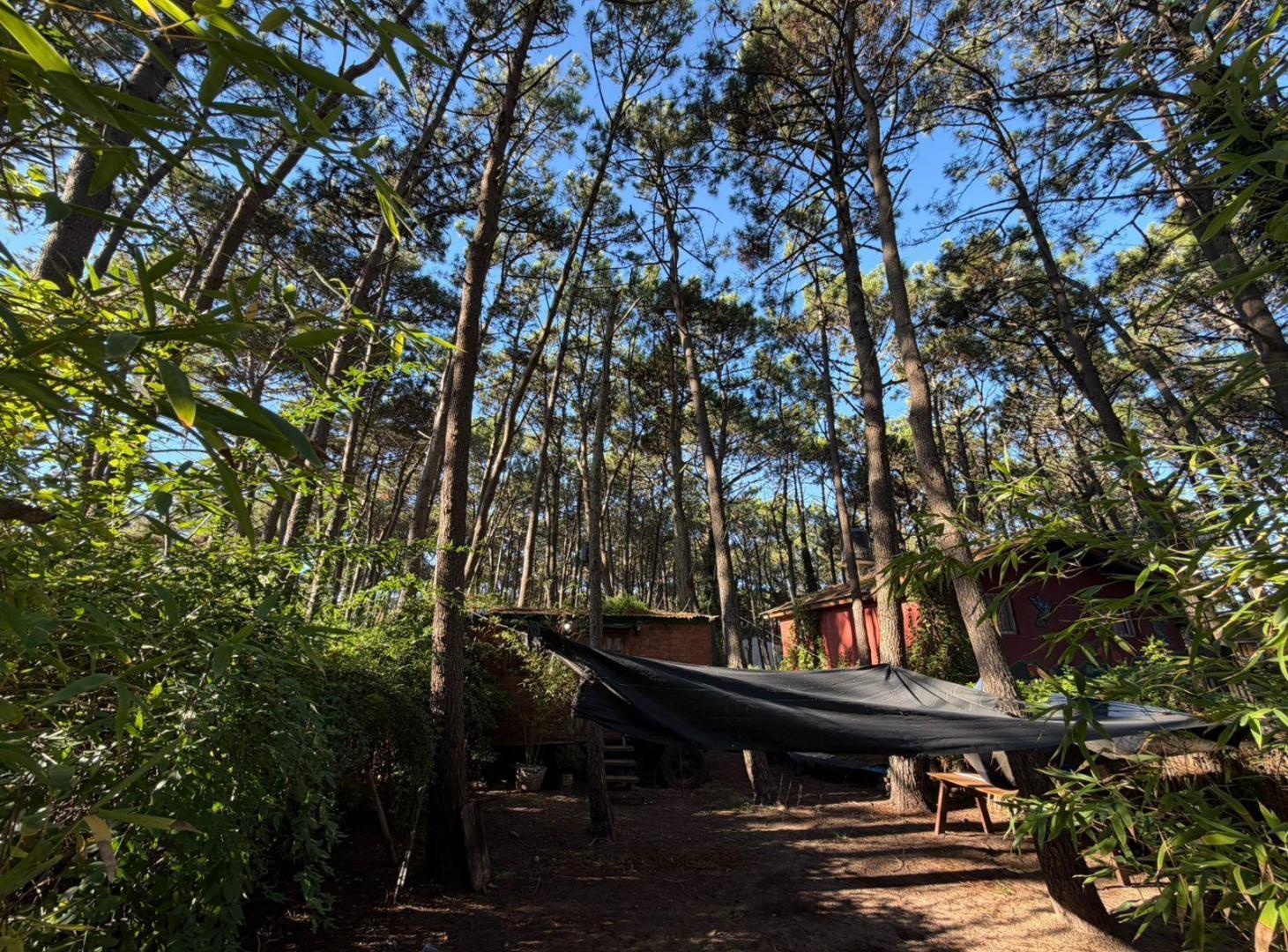 Foto de Terreno en Mar Azul, imagen 3