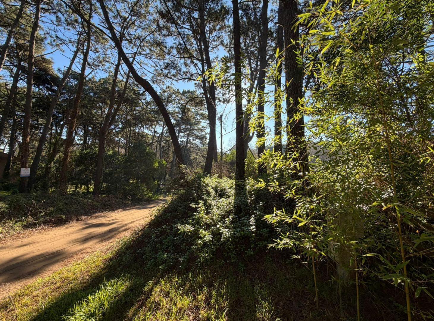 Foto de Terreno en Mar Azul, imagen 5