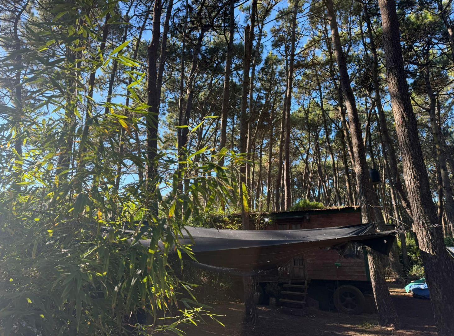 Foto de Terreno en Mar Azul, imagen 1