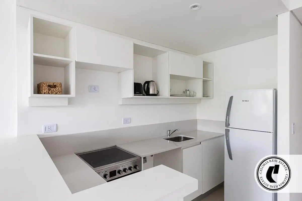Departamento en Chacarita Amoblado 1