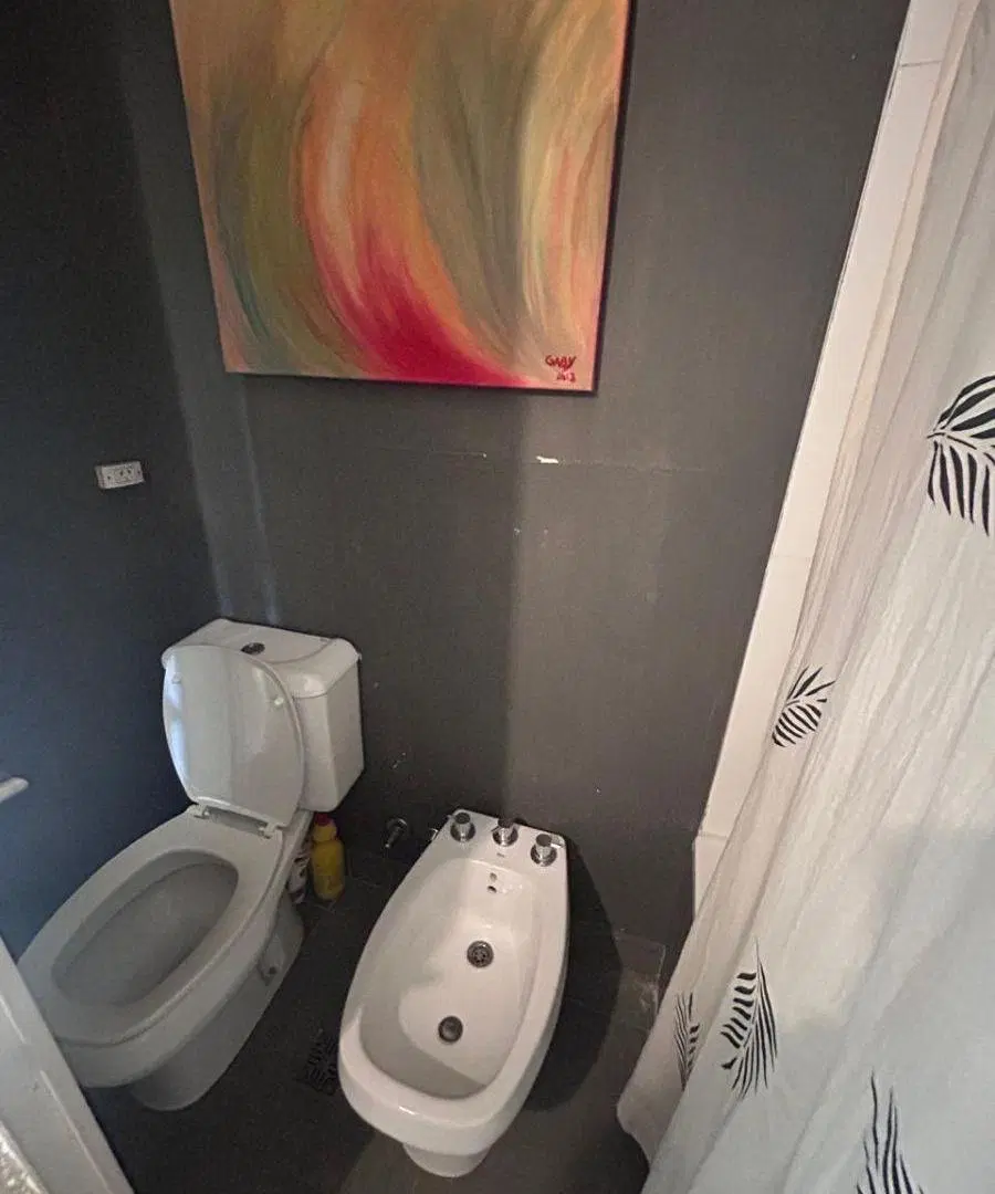 Divino y Soleado Departamento de 2 Ambientes con Balcón y Cochera Cubierta 3