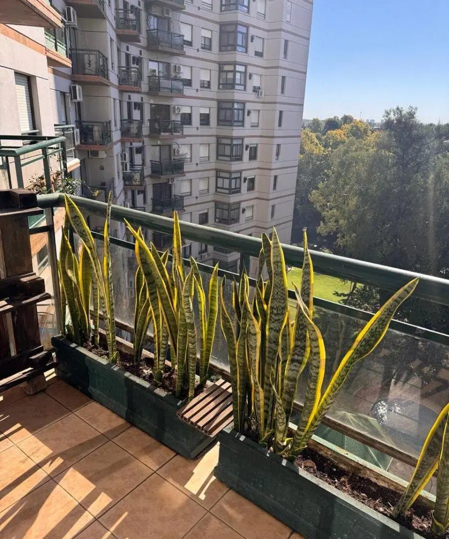 Departamento en complejo Riverside Tigre de 3 ambientes 5