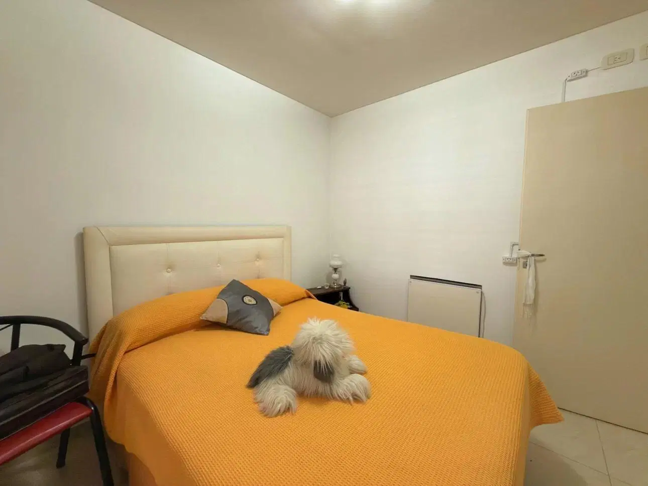 Departamento de 2 ambientes con jardin y parrilla 5
