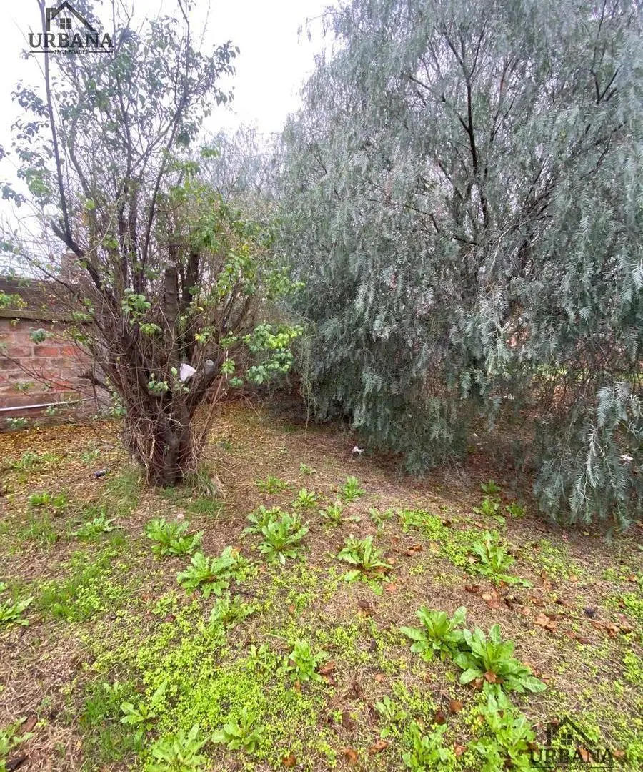Lote B° Cenci 8