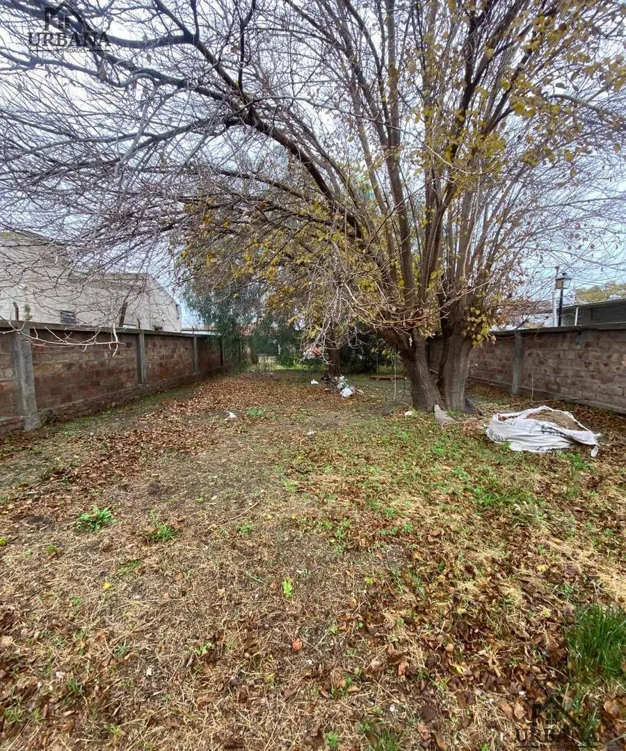Lote B° Cenci 4