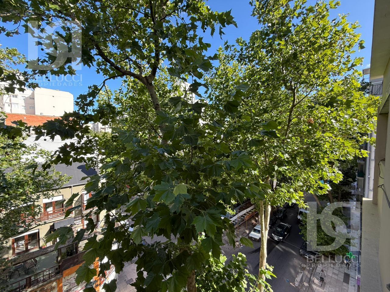 Foto de DEPARTAMENTO DE 3 AMBIENTES EN ALQUILER 24 MESES // ZONA GUEMES, imagen 5