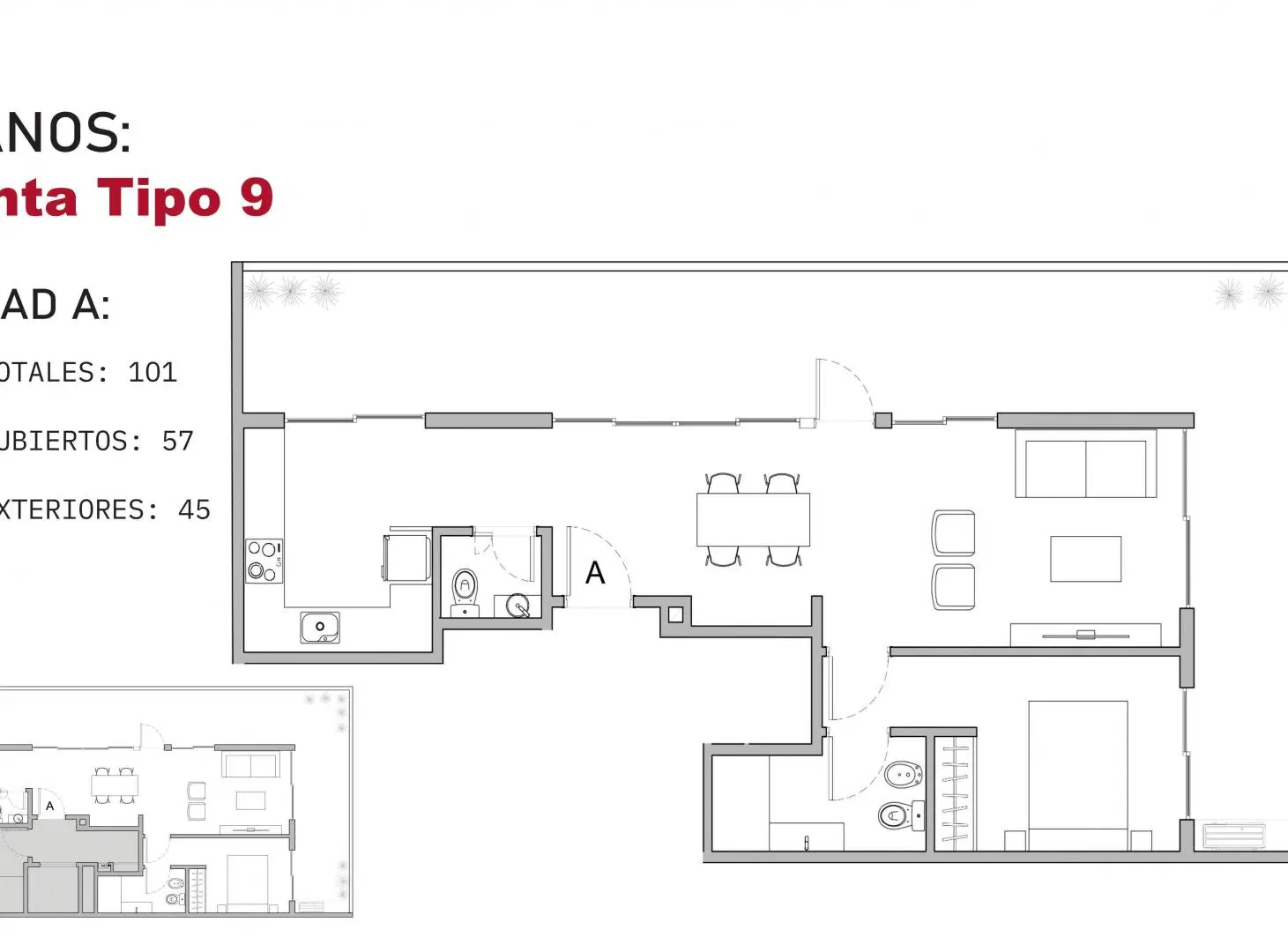 Plano 6