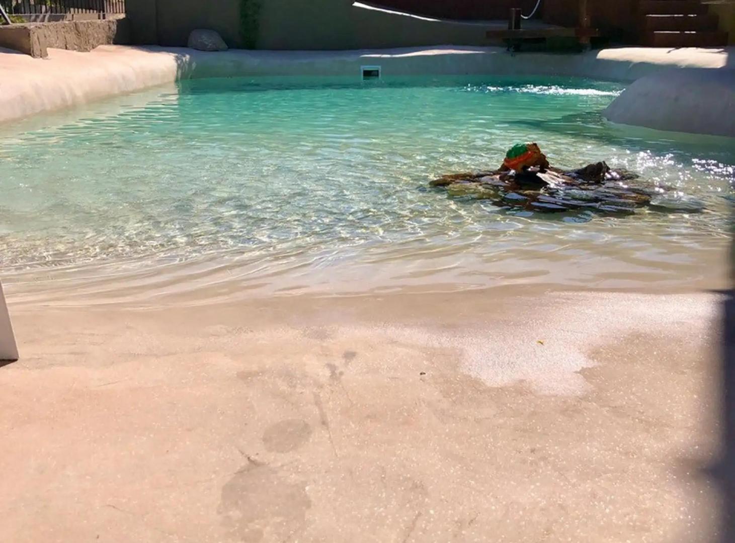Foto de IMPRESIONANTE Propiedad con piscina tipo PLAYA! EN ALBERDI!, imagen 1