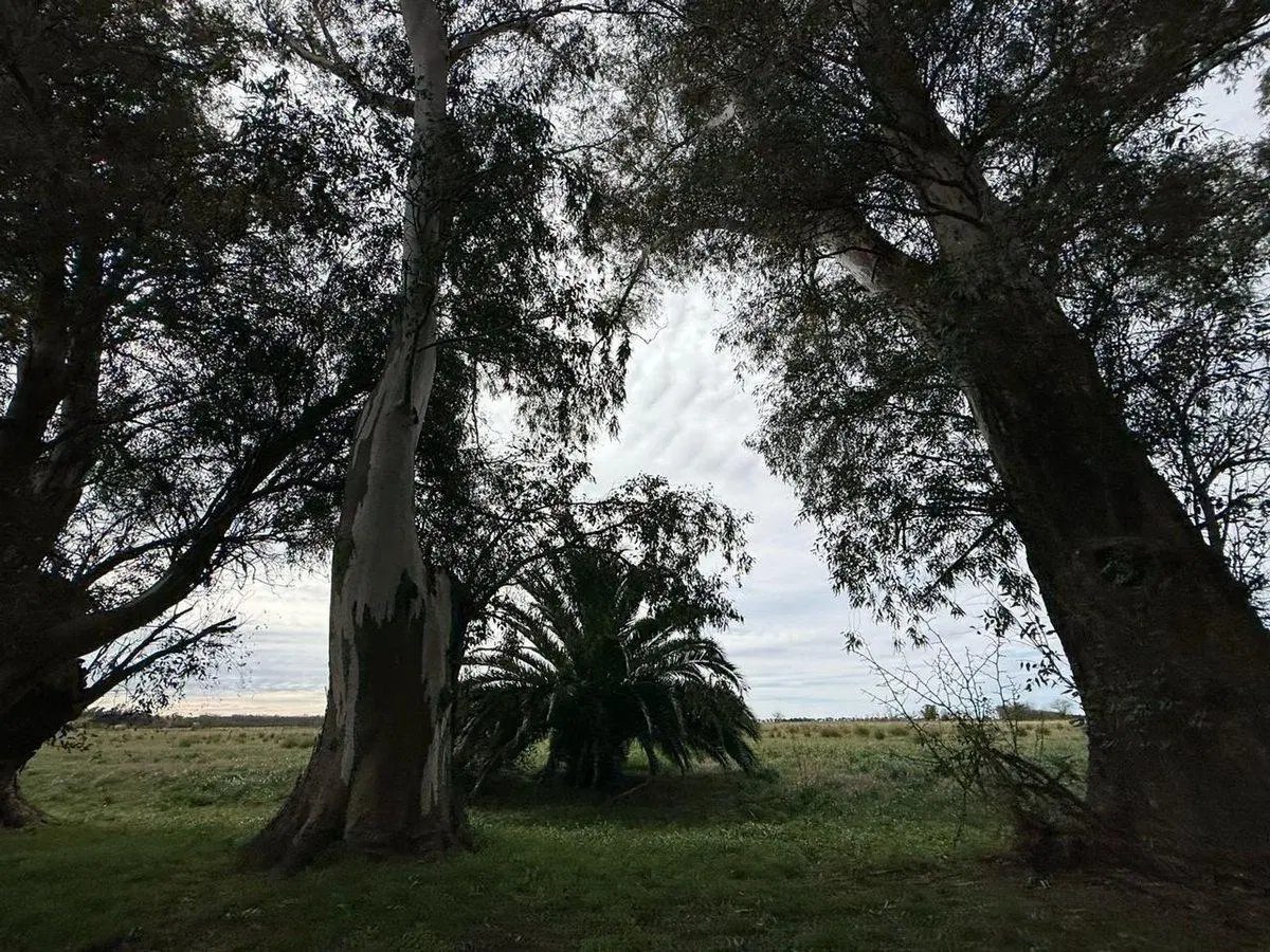 Venta Lote S.Miguel del Monte chacras S.Pablo UF13 4