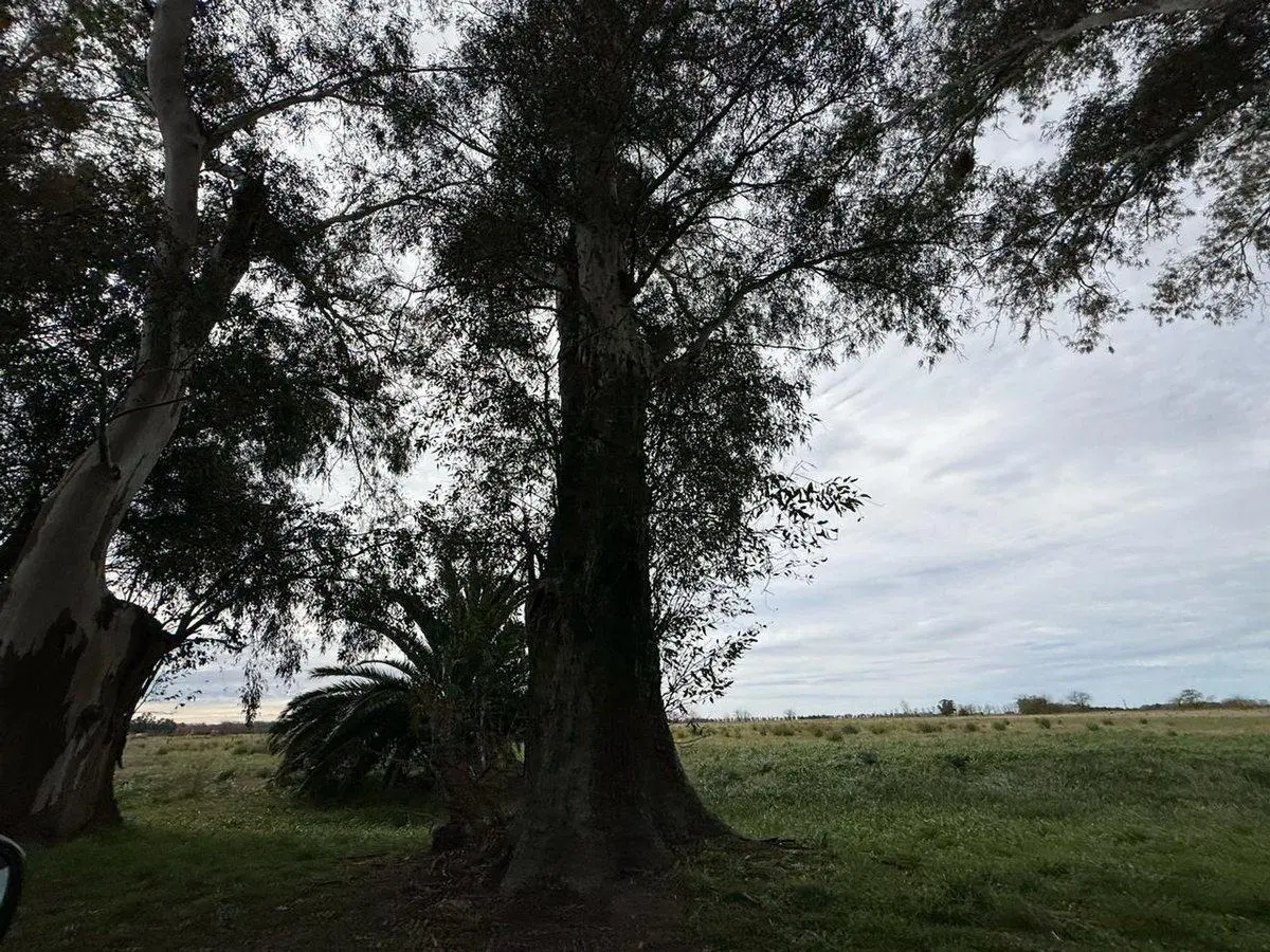 Venta Lote S.Miguel del Monte chacras S.Pablo UF13 5