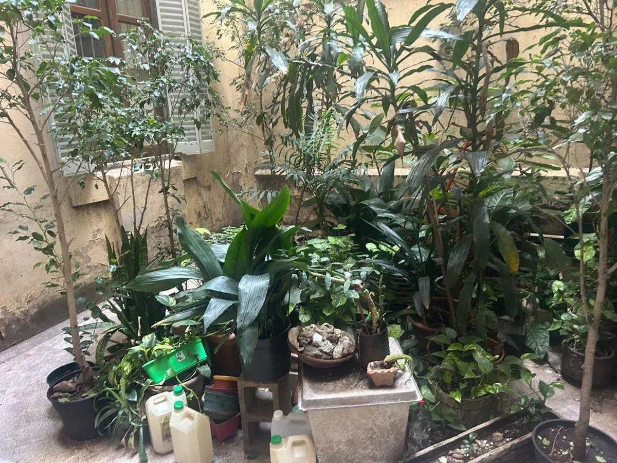 VENDE DEPARTAMENTO DE ESTILO 3 AMB APTO PROF 4