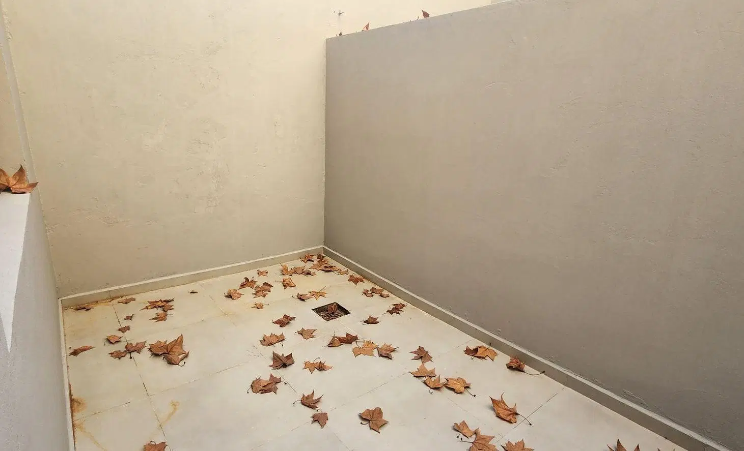 Alquiler Monoambiente - patio y balcón Parque Chas 5