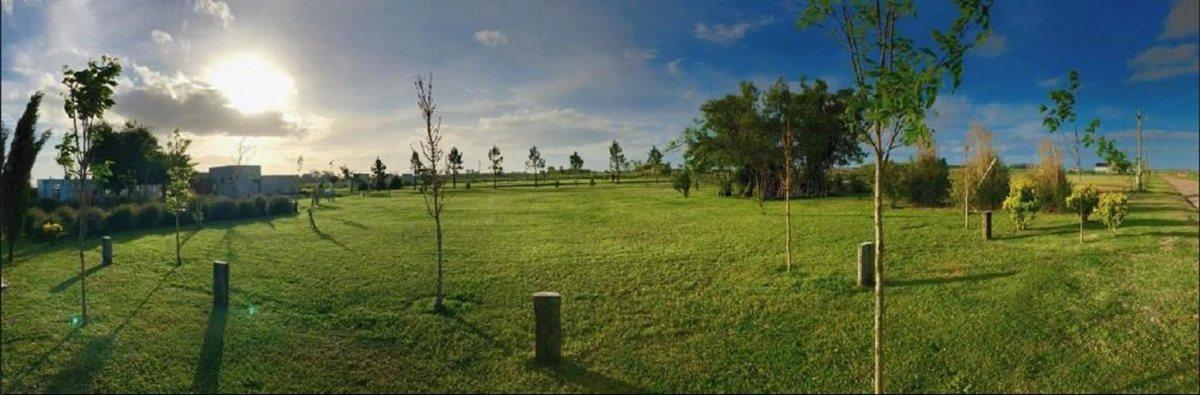 VENTA LOTE - CAMPOS DE LA ENRIQUETA