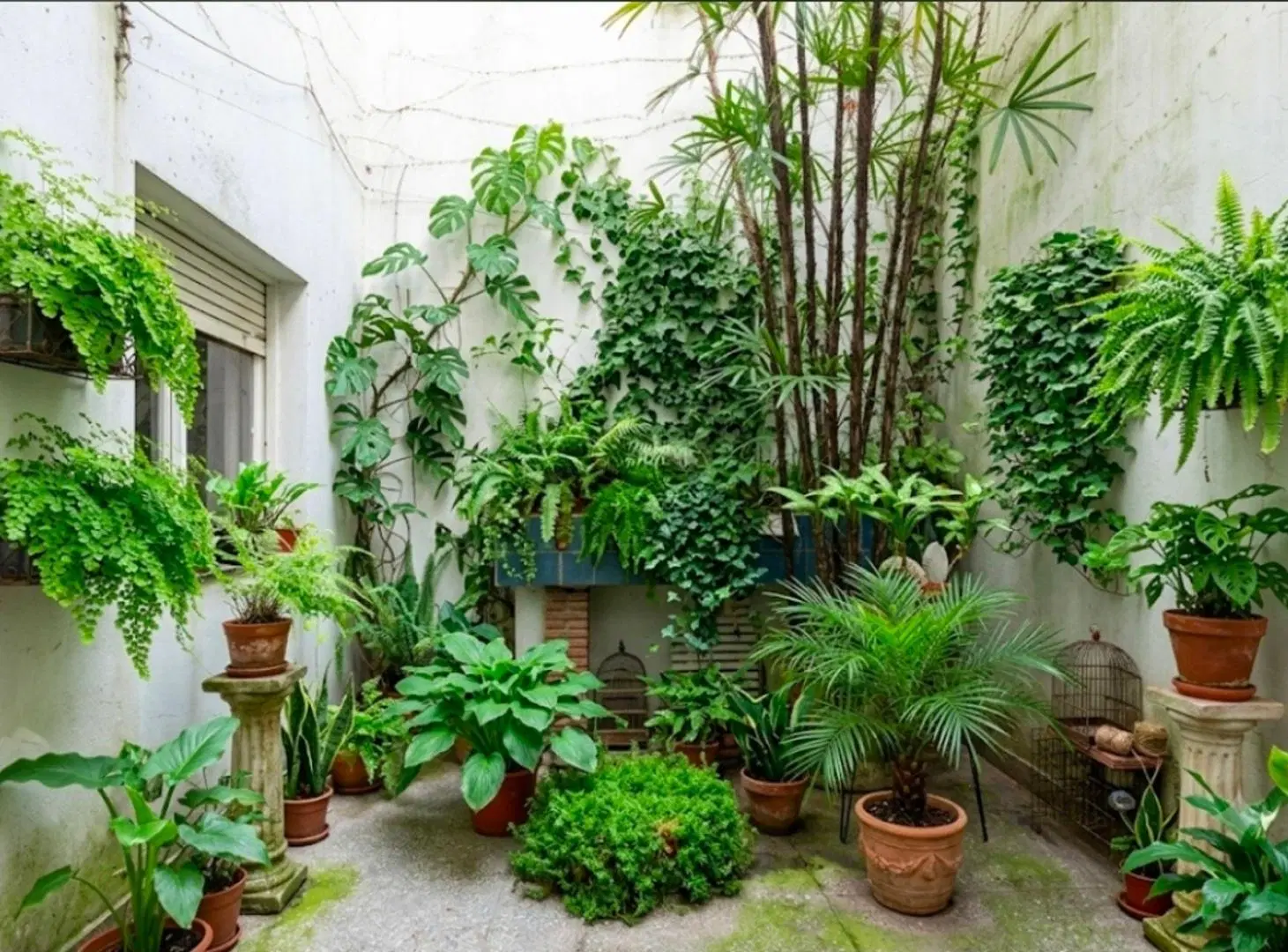 Venta Departamento 3 ambientes  patio en Recoleta 4