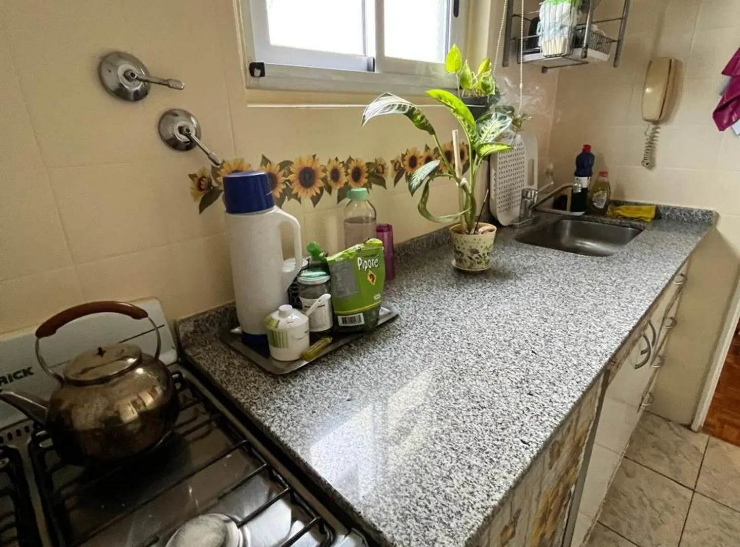 VENTA MAGNIFICO 2 AMBIENTES COLEGIALES 4
