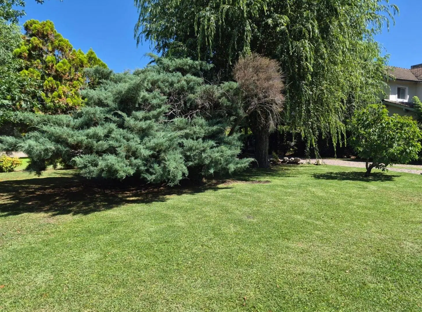 Venta de Casa c pileta en Boca Raton Pilar 8